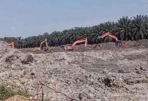 PJSBABEL.COM (BANGKA) — Aktivitas penambangan biji timah berskala besar di kawasan perkebunan kelapa sawit milik PT Gunung Maras Lestari (GML), tepatnya di wilayah Desa Bukit Layang, Kecamatan Bakam, Kabupaten Bangka, Provinsi Kepulauan Bangka Belitung, belakangan menuai sorotan tajam publik. Sabtu (20/12/2025).